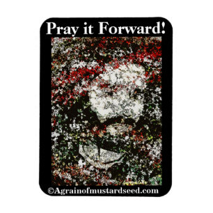 Biokotierungen Magnet