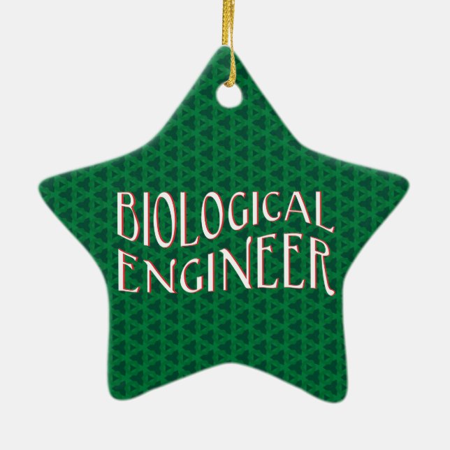 Biological Engineer Text Keramik Ornament (Hinten)