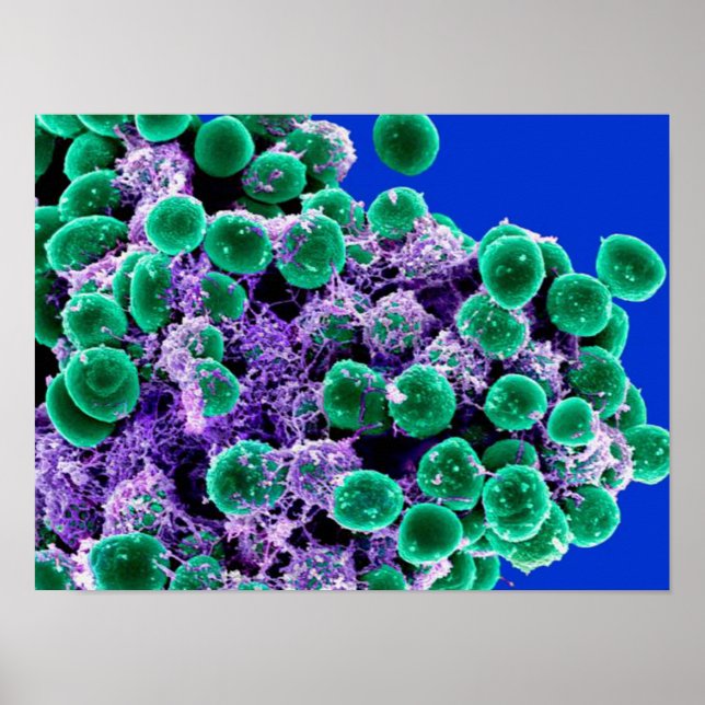 Biologie, abstrakte Kunst, Plakat-Leinwand Poster (Vorne)