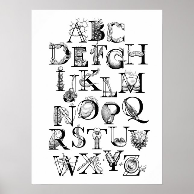 Biologie-Alphabet-Poster (18x24) Poster (Vorne)