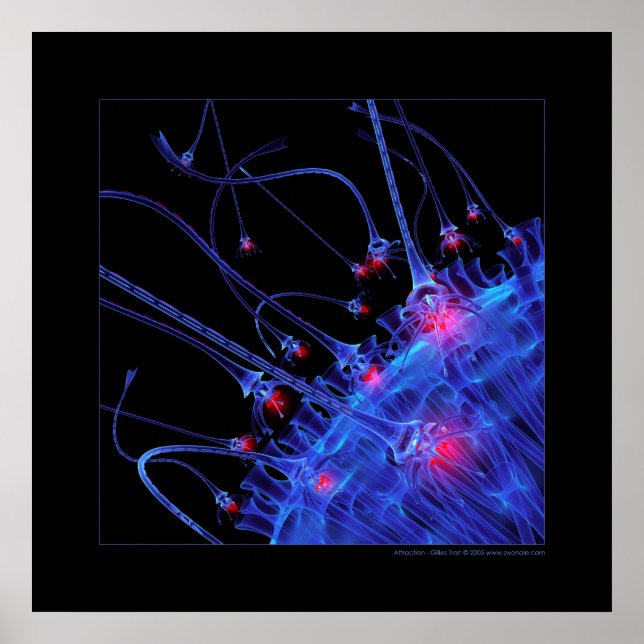 Biologie: Attraktivität Poster (Vorne)