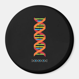 Biologie DNA Molekül Lehrergene Magnet