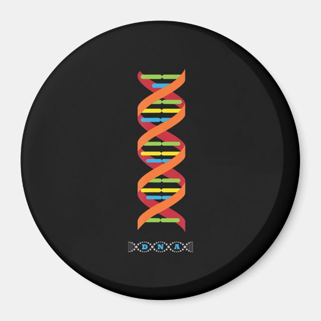 Biologie DNA Molekül Lehrergene Magnet (Vorne)