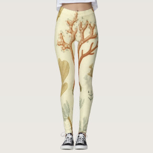 Biologie-Lehrbuch, alte Korallentiere Leggings