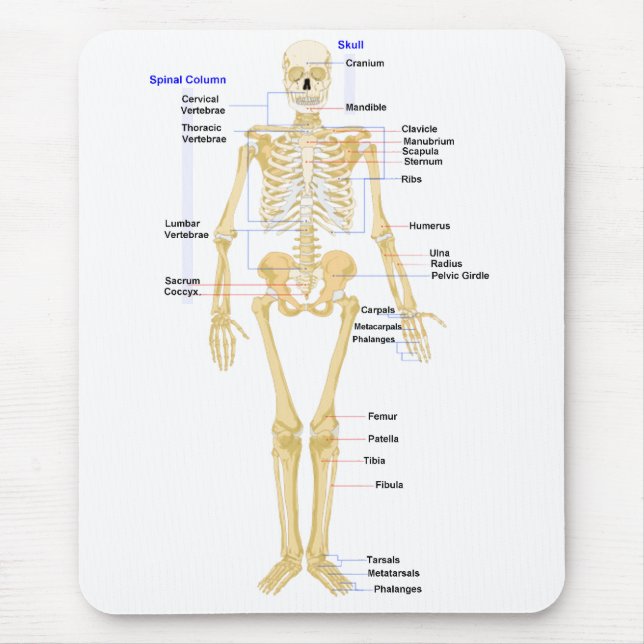 Biologie-Mausunterlage Mousepad (Vorne)
