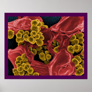 biologie microbiologie abstraite pour affiche ou t