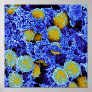 biologie microbiologie poster ou toile d'art abstr