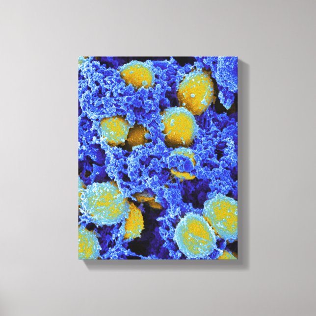 Biologie, Mikrobiologie, abstraktes Kunstposter od Leinwanddruck (Vorderseite)
