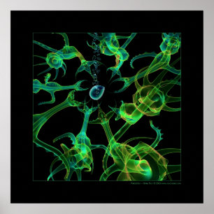 Biologie: Plünderung Poster