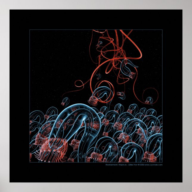 Biologie: Vergewaltigung Poster (Vorne)