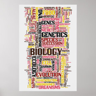 Biologie Wordle Nr. 11 Poster
