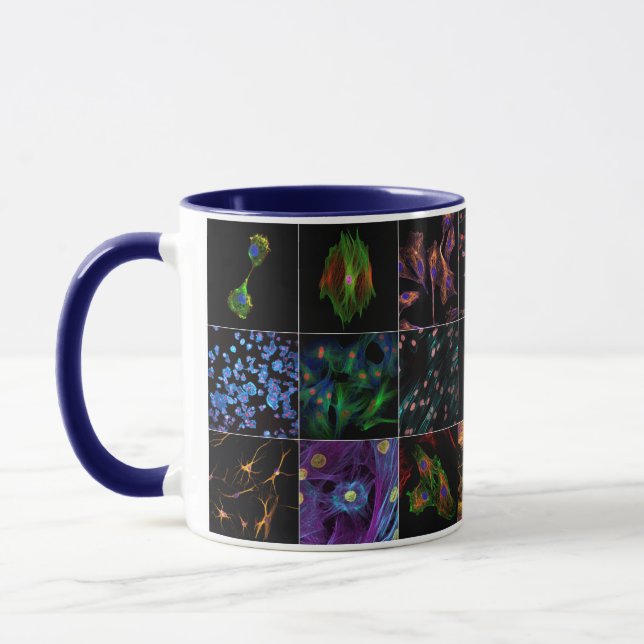 Biologie zur Tasse (Links)