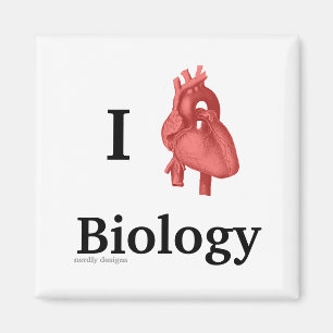Biologiemagnet des Herzens I Magnet