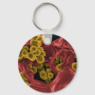 Biologiemikrobiologiegeschenke für Lehrerstudente Schlüsselanhänger