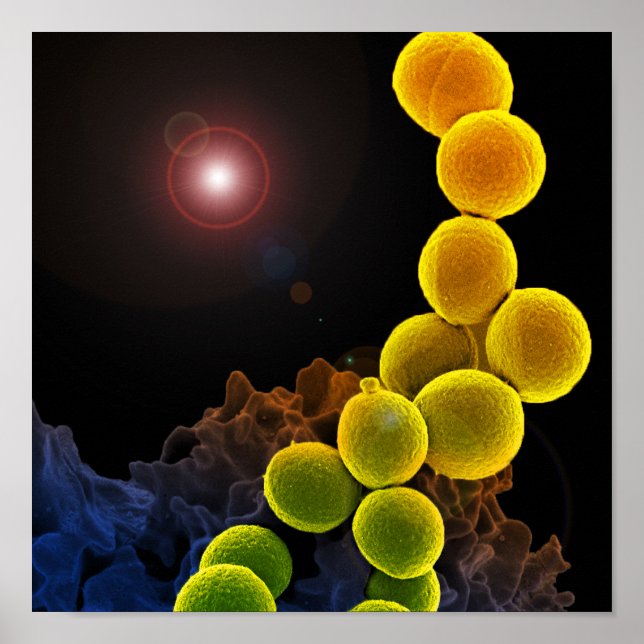 Biologische Mikrobiologie, abstrakt für Plakat ode (Vorne)