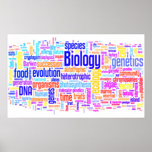 Biologische Wörter Nr. 17 Poster