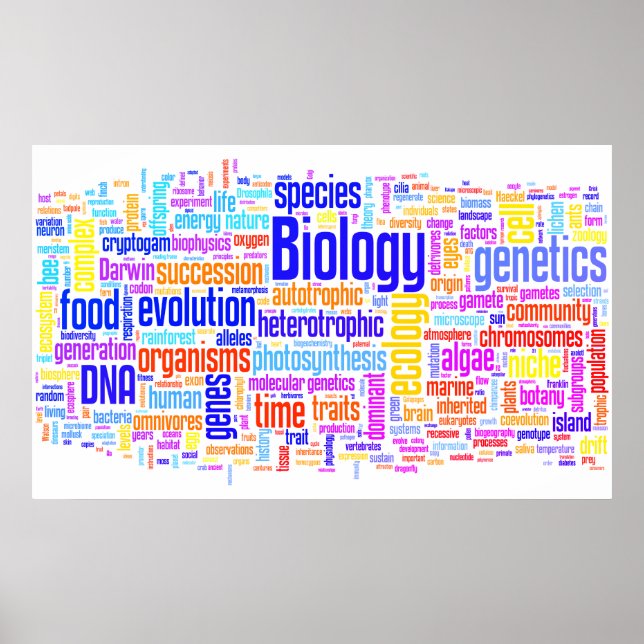 Biologische Wörter Nr. 17 Poster (Vorne)
