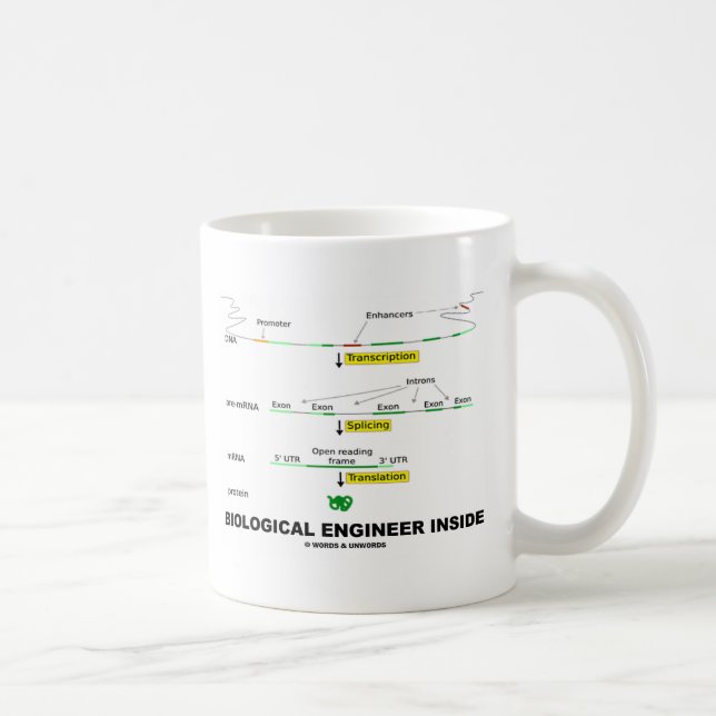 Biologischer Ingenieur nach innen Kaffeetasse (Rechts)