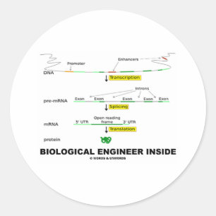 Biologischer Ingenieur nach innen Runder Aufkleber