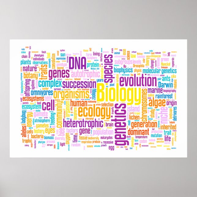 Biologisches Wort Nr. 10 Sonnenaufgang Poster (Vorne)