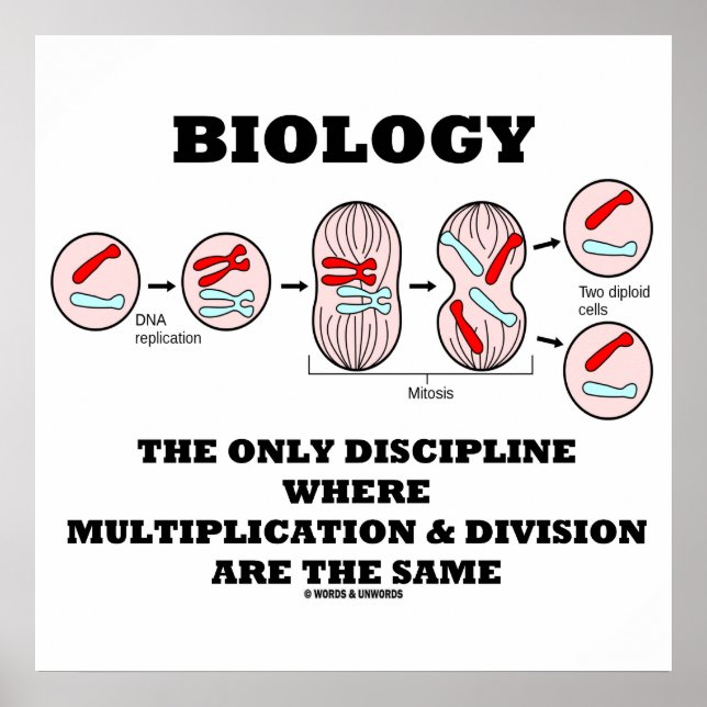 Biology Only Disziplin Multiplikation Division Poster (Vorne)