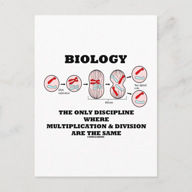 Biology Only Disziplin Multiplikation Division Postkarte (Vorderseite)