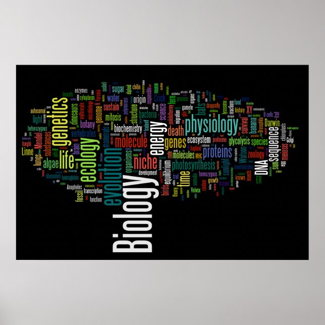 Biology Wordle No. 5 Black Poster (Vorne)