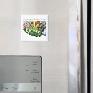 Biome Seasons Magnet