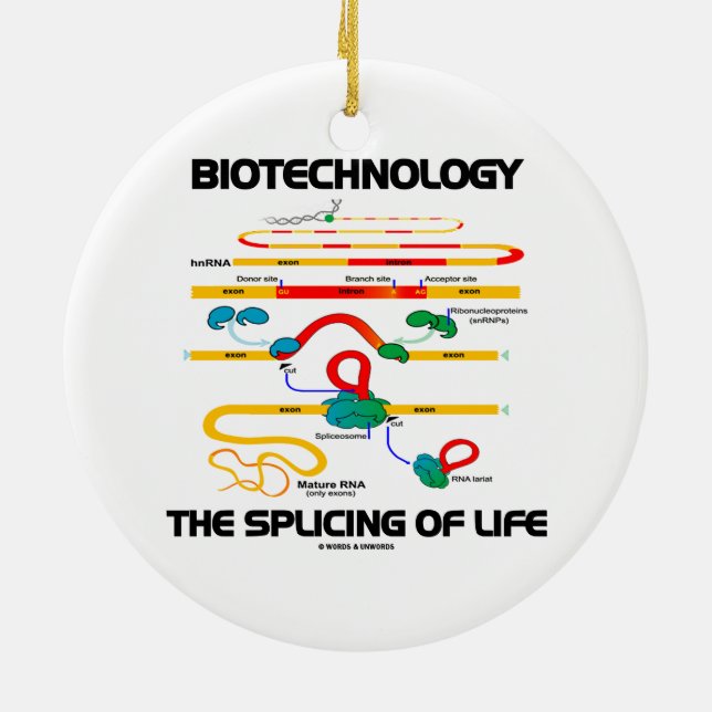 Biotechnologie das Verstärken des Lebens (reife Keramik Ornament (Hinten)