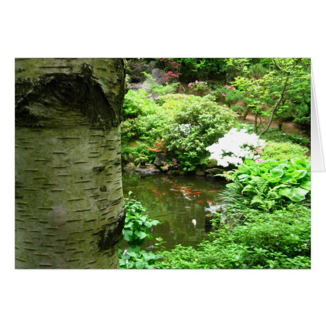 Birch (Devant horizontal)