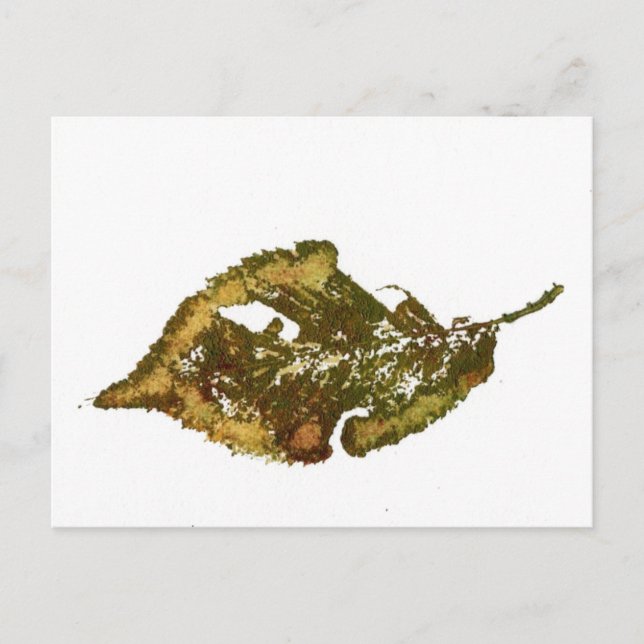 "Birch #2" Landstraßen Postkarte (Vorderseite)