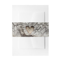 Birch Bark Old Tree Wood Heart Wedding