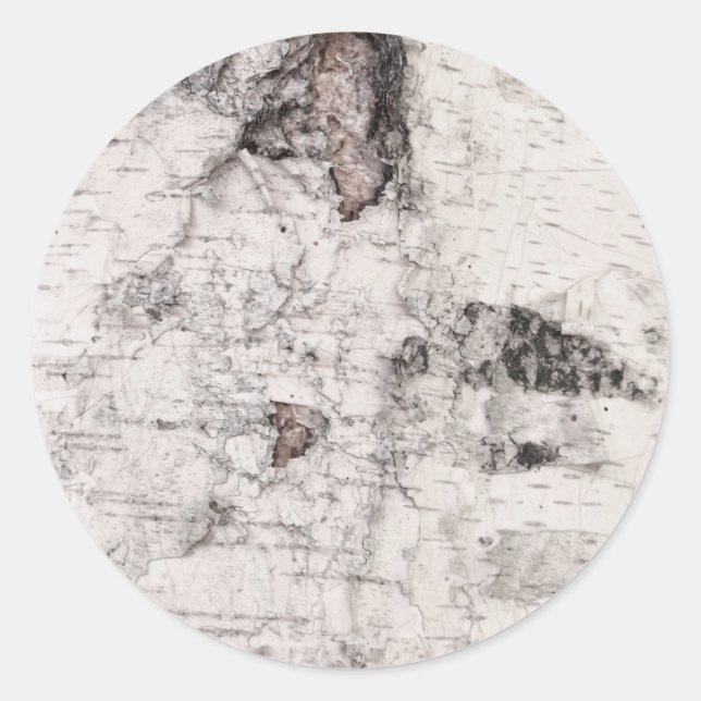 Birch bark pattern classic round sticker (Vorderseite)