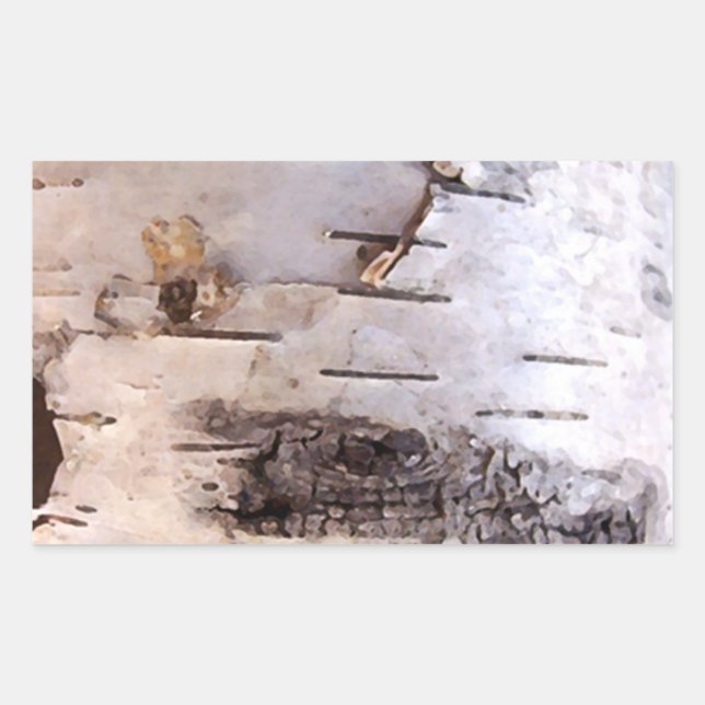 Birch Bark Rechteckiger Aufkleber (Vorderseite)
