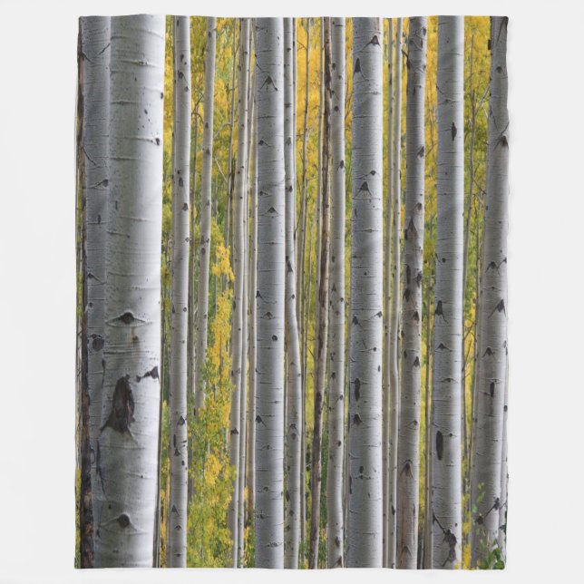 Birch Forest rustikale Fleece Decke (Vorderseite)