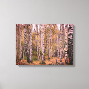 Birch Forrest Herbst Foto Single Leinwanddruck