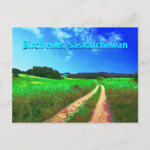 Birch Hills SK Postcard - Landstraße Postkarte