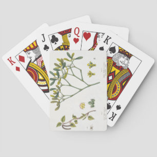 Birch (links) und Mistletoe (rechts), Abb. 9 und 1 Spielkarten