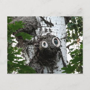 Birch Soul Tree Magic Face Photocard Carte postale