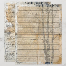 Birch Tree Altes Manuskript Briefbogen