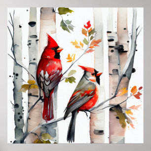 Birch Tree and Kardinals Poster