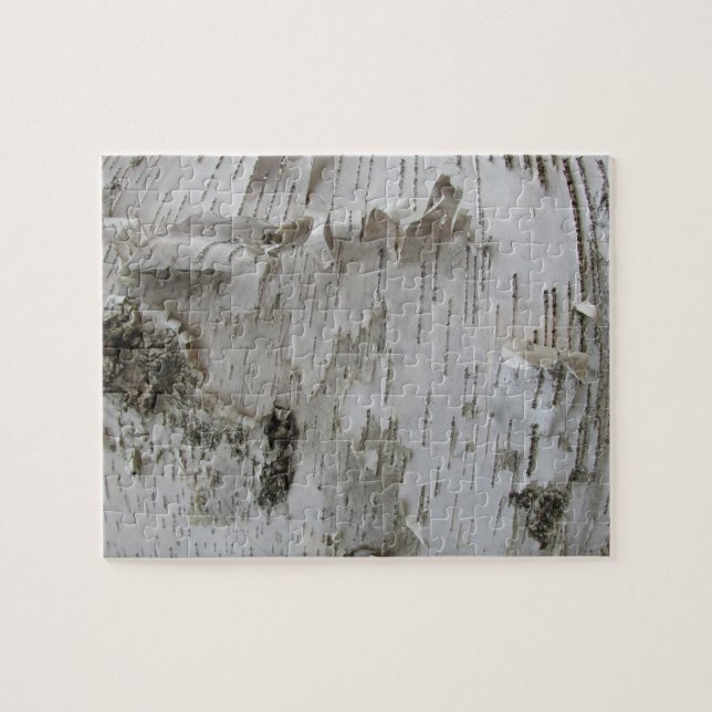 Birch Tree Bark Peeled Old Foto (Horizontal)