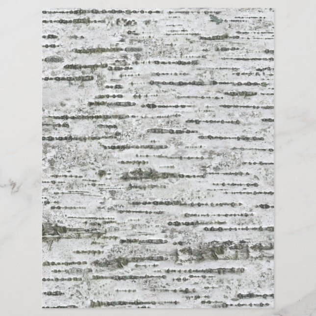 Birch Tree Bark White Gray Muster Scrapbook Paper (Vorderseite)