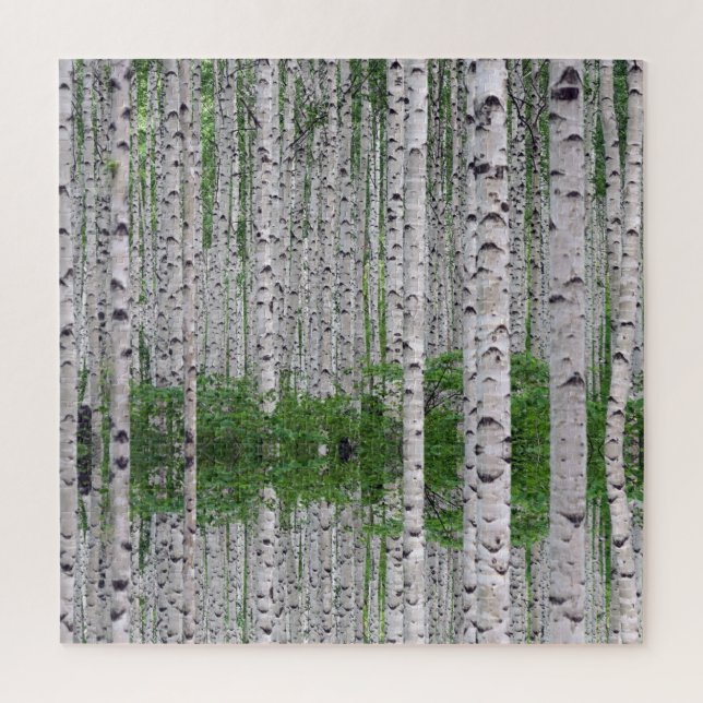 Birch Tree Forest Nature (Vertikal)