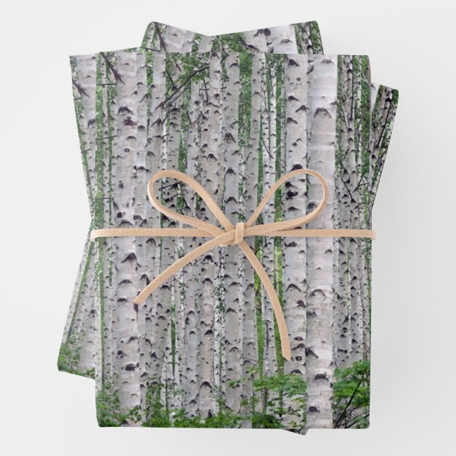 Birch Tree Forest Nature Geschenkpapier Set (Beispiel)