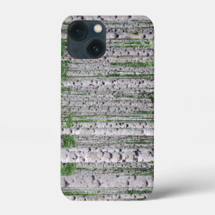 Birch Tree Forest Nature iPhone Case