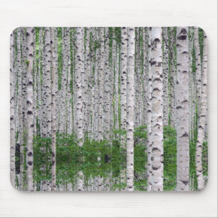Birch Tree Forest Nature Mousepad