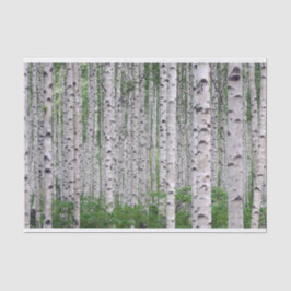 Birch Tree Forest Nature Seidenpapier