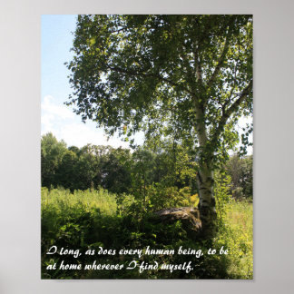 Birch Tree Inspiration Print Poster