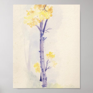Birch Tree Print 8x10 Poster